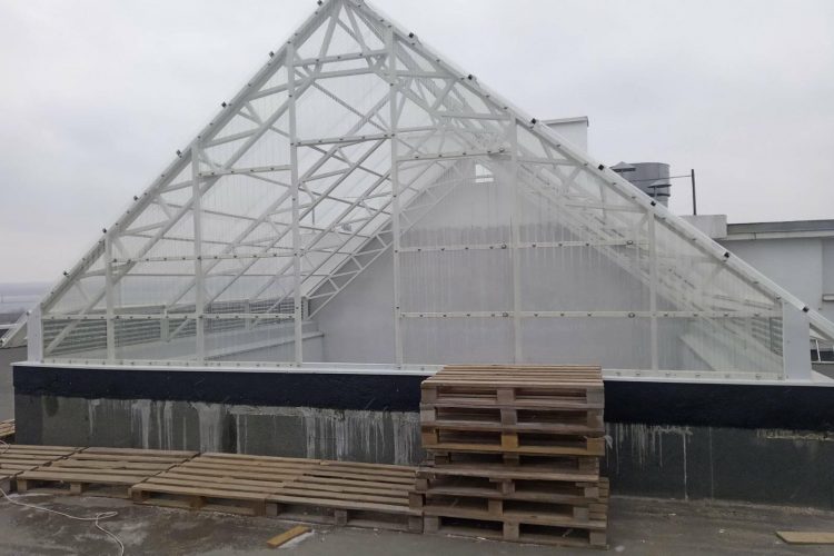 141213115_403097957438097_1857952705481475794_n