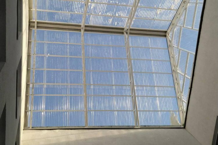 141419426_678241002870683_9195874169433124160_n